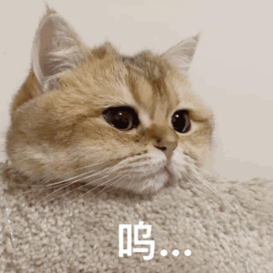 裸男男同大学生xnxx
